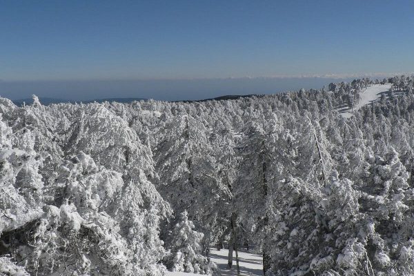 Troodos mountains winter