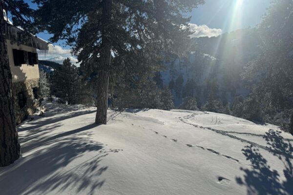 IMG-20250206-WA0002